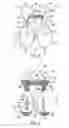 Fig. 02 - LIFEJACKET