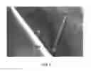 Fig. 06 - Moisture barrier films