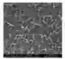 Fig. 01 - High-strength network structured nano-carrier material and preparation method and application thereof