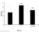 Fig. 07 - Biofertilizer to increase agricultural yield