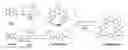 Fig. 01 - Rigid chiral redox-active isosceles triangular materials