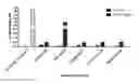 Fig. 01 - Humanized anti-CD73 antibodies