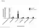 Fig. 02 - Humanized anti-CD73 antibodies
