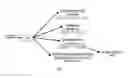 Fig. 02 - METHODS AND COMPOSITIONS FOR THE TREATMENT OF TUBEROUS SCLEROSIS