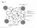 Fig. 02 - Noncovalent soft elastomer and method for manufacturing the same