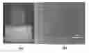 Fig. 01 - PROCESS FOR PREPARING THREE DIMENSIONAL POROUS SCAFFOLD AND THE THREE DIMENSIONAL POROUS SCAFFOLD FORMED THEREOF
