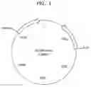 Fig. 02 - HALOACID DEHALOGENASE hdl4a PROTEIN VARIANT AND METHOD OF REDUCING CONCENTRATION OF FLUORINE-CONTAINING COMPOUND IN A SAMPLE USING THE SAME