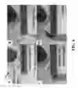 Fig. 08 - Capillary barriers for staged loading of microfluidic devices