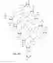 Fig. 09 - RNAi agents and compositions for inhibiting expression of angiopoietin-like 3 (ANGPTL3), and methods of use