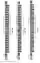 Fig. 18 - RNAi agents and compositions for inhibiting expression of angiopoietin-like 3 (ANGPTL3), and methods of use