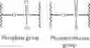 Fig. 63 - RNAi agents and compositions for inhibiting expression of angiopoietin-like 3 (ANGPTL3), and methods of use