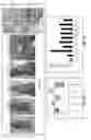 Fig. 04 - Preventing tumor development and metastasis
