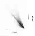 Fig. 07 - Oligonucleotide probes and uses thereof