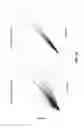 Fig. 09 - Oligonucleotide probes and uses thereof
