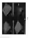 Fig. 08 - Antisense antibacterial compounds and methods