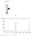 Fig. 02 - Method for production of mutant-type human erythropoietin