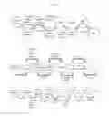 Fig. 02 - DETECTION AND IDENTIFICATION OF BACTERIA AND DETERMINATION OF
ANTIBIOTIC SUSCEPTIBILITY USING BACTERIOPHAGE AND REPORTER
MOLECULES