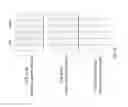 Fig. 07 - DETECTION OF RECOMBINASE POLYMERASE AMPLIFICATION USING DUAL-HAPTEN PROBE
