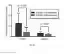 Fig. 09 - Methodology to identify biomarkers relevant to neurons in the brain by using non-invasive nasal biopsy