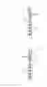 Fig. 09 - Charge-generating thread for bacterium-countermeasure, cloth for bacterium-countermeasure, cloth, clothing article, medical member, charge-generating thread that acts on living body, and charge-generating thread for substance-adsorption