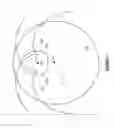 Fig. 06 - Positive displacement rotary devices