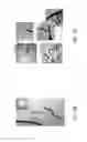 Fig. 04 - Hydrogel encapsulation of living organisms for long-term microscopy