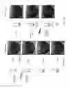 Fig. 33 - Hydrogel encapsulation of living organisms for long-term microscopy