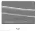 Fig. 08 - Method of making a carrier for molecular detection