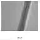 Fig. 10 - Method of making a carrier for molecular detection