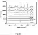 Fig. 14 - Method of making a carrier for molecular detection