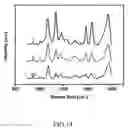Fig. 15 - Method of making a carrier for molecular detection