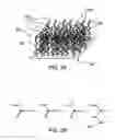 Fig. 03 - Fabrication of a fluorescent material for sensing an analyte