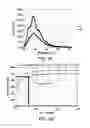 Fig. 04 - Fabrication of a fluorescent material for sensing an analyte