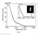 Fig. 06 - Device and method for imaging shortwave infrared fluorescence