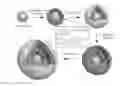 Fig. 01 - CORE-SHELL PLASMONIC NANOGAPPED NANOSTRUCTURED MATERIAL