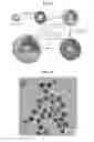 Fig. 02 - CORE-SHELL PLASMONIC NANOGAPPED NANOSTRUCTURED MATERIAL