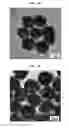 Fig. 04 - CORE-SHELL PLASMONIC NANOGAPPED NANOSTRUCTURED MATERIAL