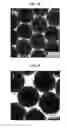 Fig. 06 - CORE-SHELL PLASMONIC NANOGAPPED NANOSTRUCTURED MATERIAL