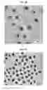 Fig. 09 - CORE-SHELL PLASMONIC NANOGAPPED NANOSTRUCTURED MATERIAL