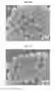 Fig. 12 - CORE-SHELL PLASMONIC NANOGAPPED NANOSTRUCTURED MATERIAL