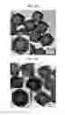 Fig. 22 - CORE-SHELL PLASMONIC NANOGAPPED NANOSTRUCTURED MATERIAL