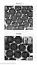 Fig. 24 - CORE-SHELL PLASMONIC NANOGAPPED NANOSTRUCTURED MATERIAL