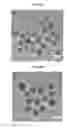 Fig. 26 - CORE-SHELL PLASMONIC NANOGAPPED NANOSTRUCTURED MATERIAL