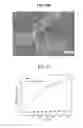 Fig. 29 - CORE-SHELL PLASMONIC NANOGAPPED NANOSTRUCTURED MATERIAL