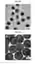Fig. 32 - CORE-SHELL PLASMONIC NANOGAPPED NANOSTRUCTURED MATERIAL