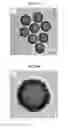 Fig. 34 - CORE-SHELL PLASMONIC NANOGAPPED NANOSTRUCTURED MATERIAL