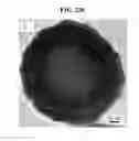 Fig. 35 - CORE-SHELL PLASMONIC NANOGAPPED NANOSTRUCTURED MATERIAL