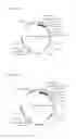 Fig. 03 - Step-function channelrhodopsins for optical control of cells