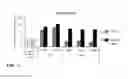 Fig. 06 - Induction of differentiation of induced pluripotent stem cells into intestinal epithelial cells