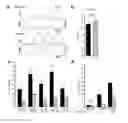 Fig. 01 - DEVICES, COMPOSITIONS AND RELATED METHODS FOR DIAGNOSING AUTISM
